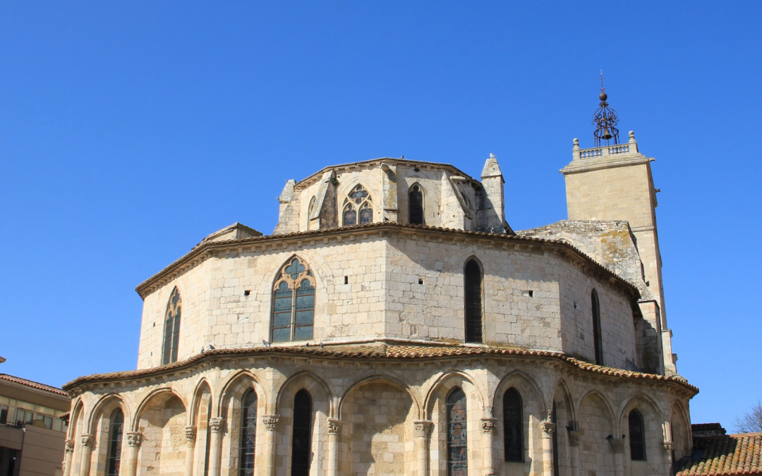Une basilique et une grenouille
