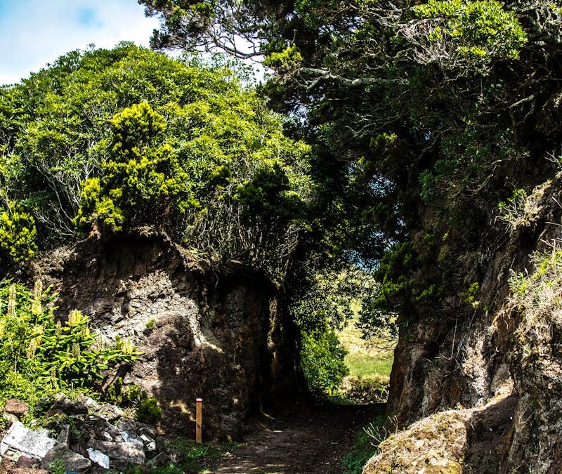 Balades 100% nature