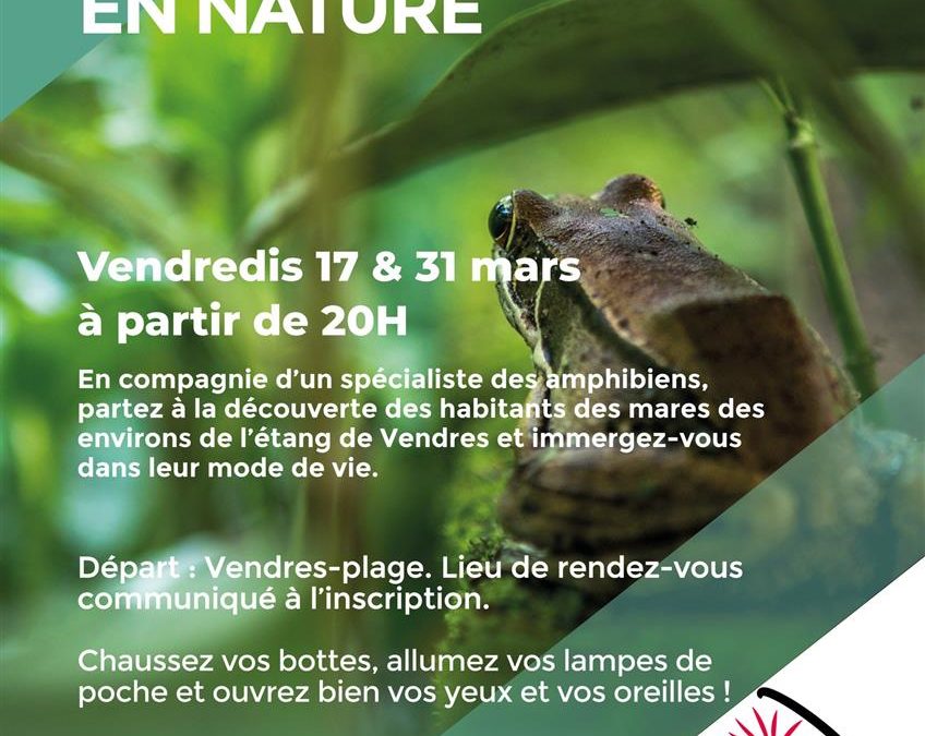 Sortie nocturne en nature