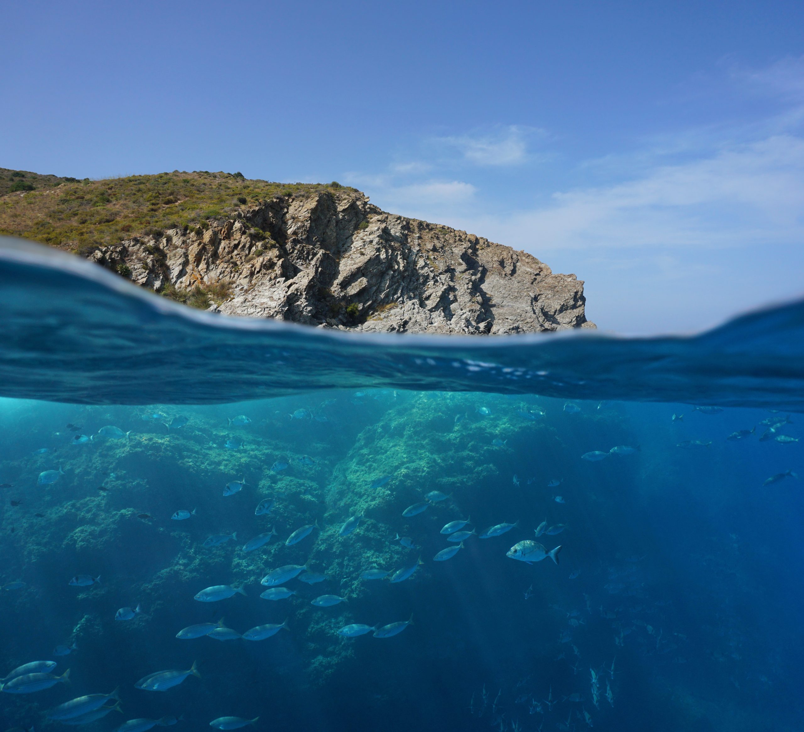 Mediterranean sea rocky coast split view above and below water surface with a shoal of fish underwater, Marine reserve of Cerbere Banyuls, Pyrenees Orientales, France paysage naturel impressionnant, constitué d'un cours d'eau sinueux bordé par une végétation dense. La rivière est calme, avec des nuances de vert et de bleu dans l'eau, qui reflètent la végétation environnante. Sur la rive, on aperçoit une petite plage de sable, avec des zones herbeuses et un arbre à gauche, dont les racines sont partiellement immergées dans l'eau. Deux personnes sont visibles sur l'eau, en train de pagayer dans un kayak jaune. L'un des individus est situé à proximité du centre de l'image, tandis que l'autre se trouve plus près du bord gauche. Les deux pagayeurs sont vêtus de tenues décontractées adaptées aux activités nautiques. Ils semblent profiter d'une journée ensoleillée, ce qui est suggéré par la lumière vive et claire qui illumine la scène. Les arbres autour de la rivière sont principalement d'un vert vif, bien que quelques rochers et formations rocheuses émergeant de la végétation ajoutent une touche de gris et de brun. À l'arrière-plan, de grandes formations rocheuses se dressent sur les bords de la rivière, leur couleur grise contraste avec le vert des arbres. L'ombre des montagnes se reflète légèrement sur l'eau. La lumière du soleil accentue les textures de la végétation et de l'eau, créant des jeux de lumière sur la surface aquatique. L'environnement global semble calme et paisible, typique d'une activité de loisirs en pleine nature, comme le kayak.