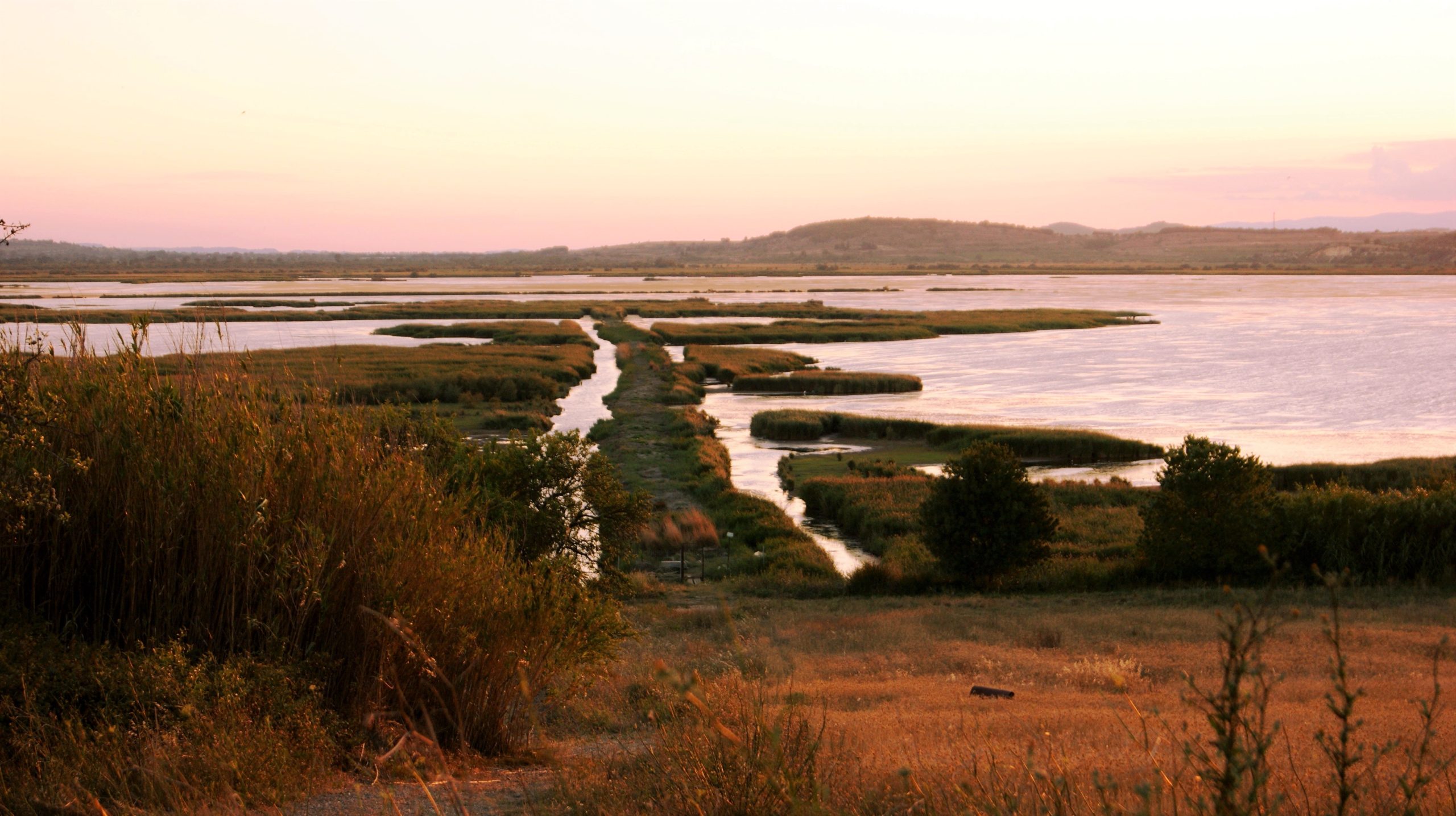 Etang de Vendres