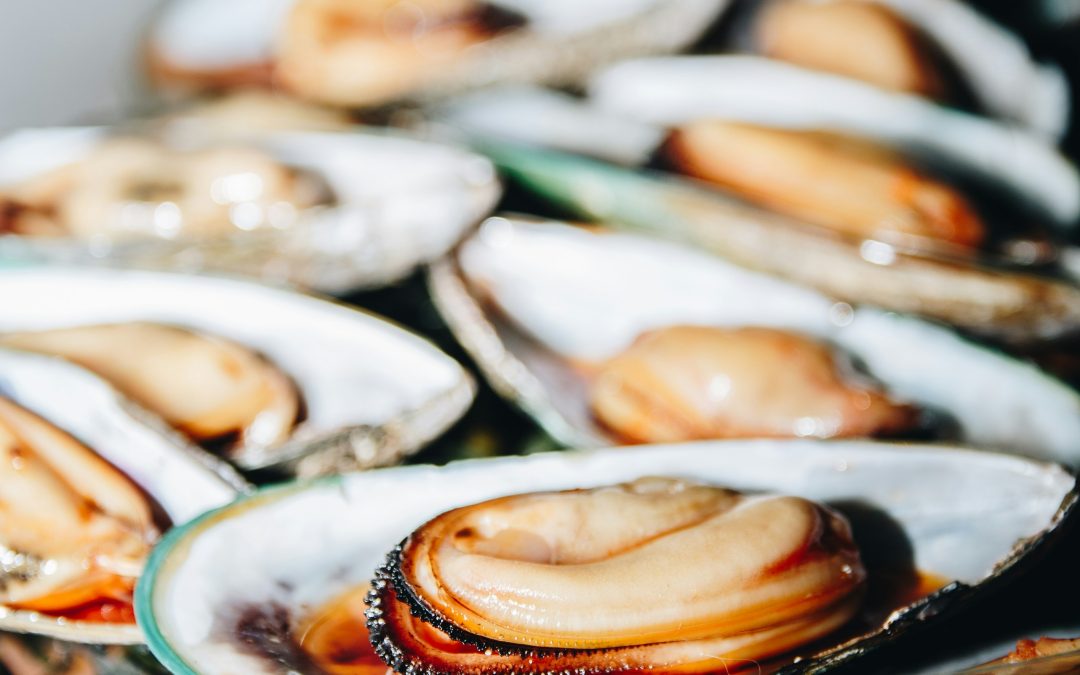 Petite Fête de la moule