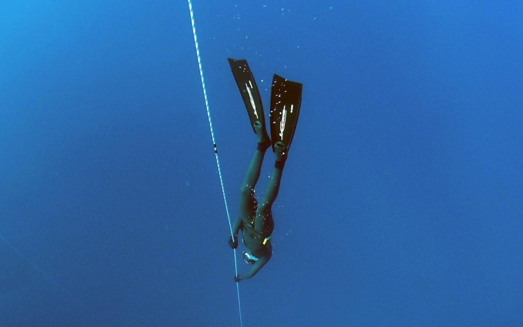 Championnat de France d’Apnée eau libre