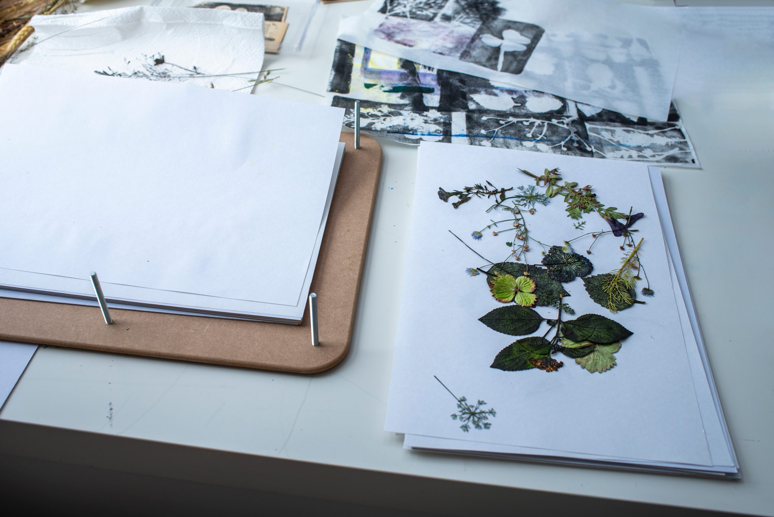 Feuilles de papier posées sur une table, dont l'une est ornée de feuilles et fleurs séchées disposées en composition, à côté de croquis et impressions en noir et blanc.