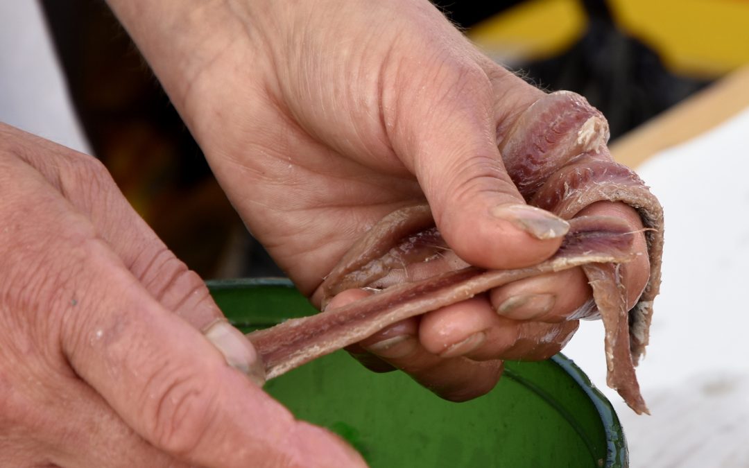 FÊTE DE L’ANCHOIS
