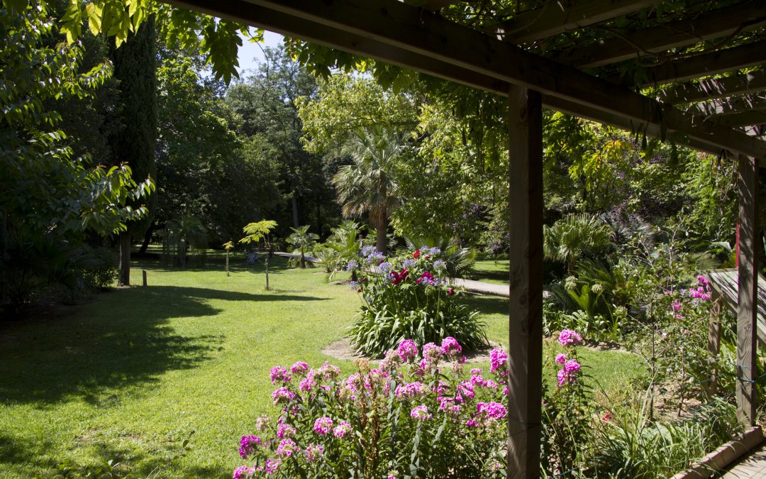 RENDEZ-VOUS AU JARDIN