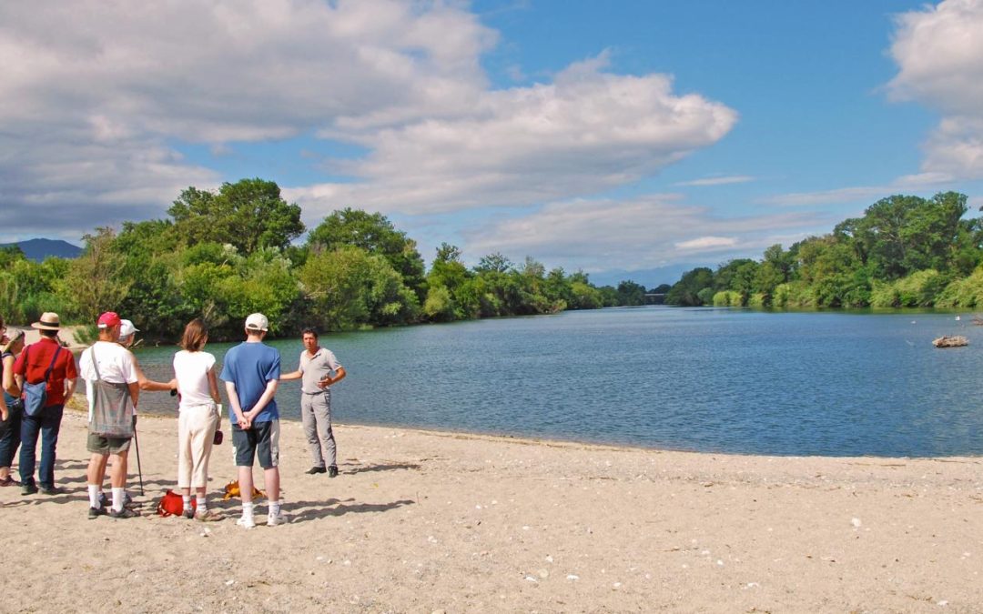 BALADE COMMENTEE NATURE –  LA RESERVE NATURELLE DU MAS LARRIEU