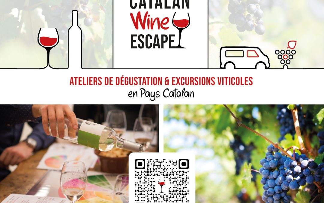 EXCURSION VITICOLE – RIVESALTES, LES SECRETS DE SON TERROIR
