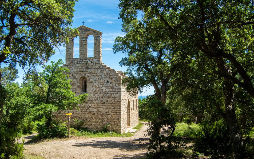 BALADE COMMENTEE NATURE –  RANDONNEE A LA CHAPELLE ST LAURENT DU MONT-