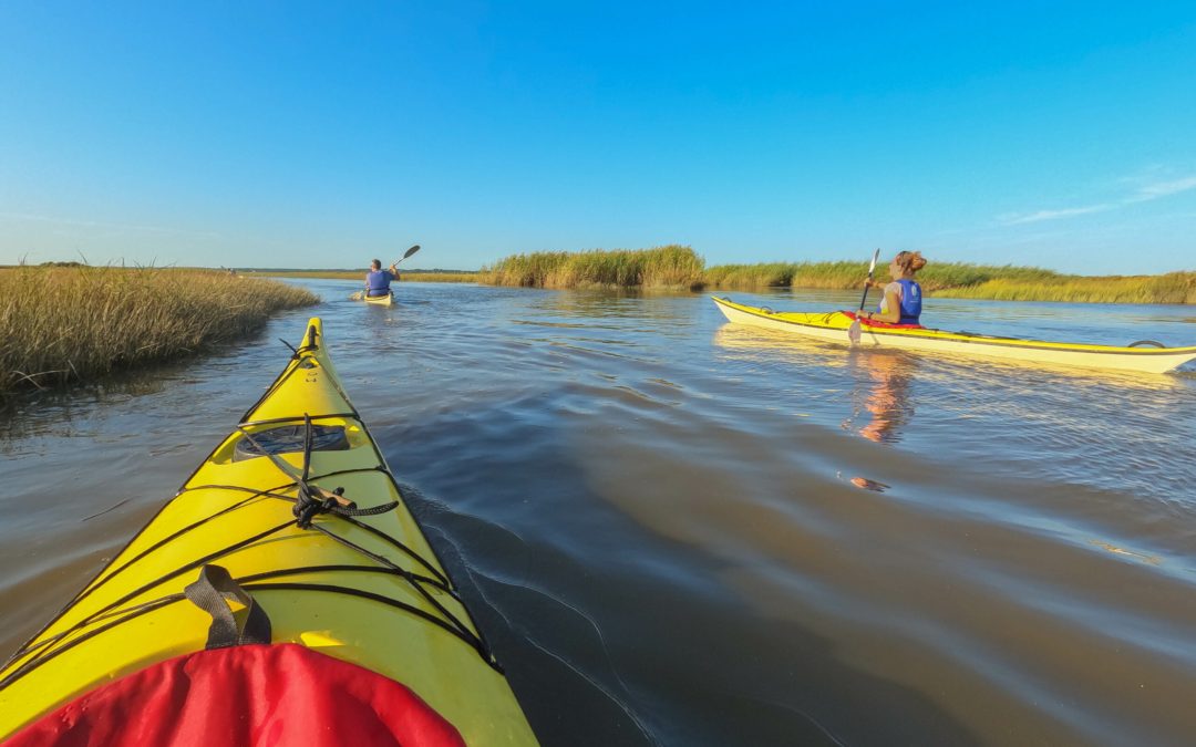 Sortie en kayak de mer – Découverte du delta de l’Eyre et du Bassin d’Arcachon