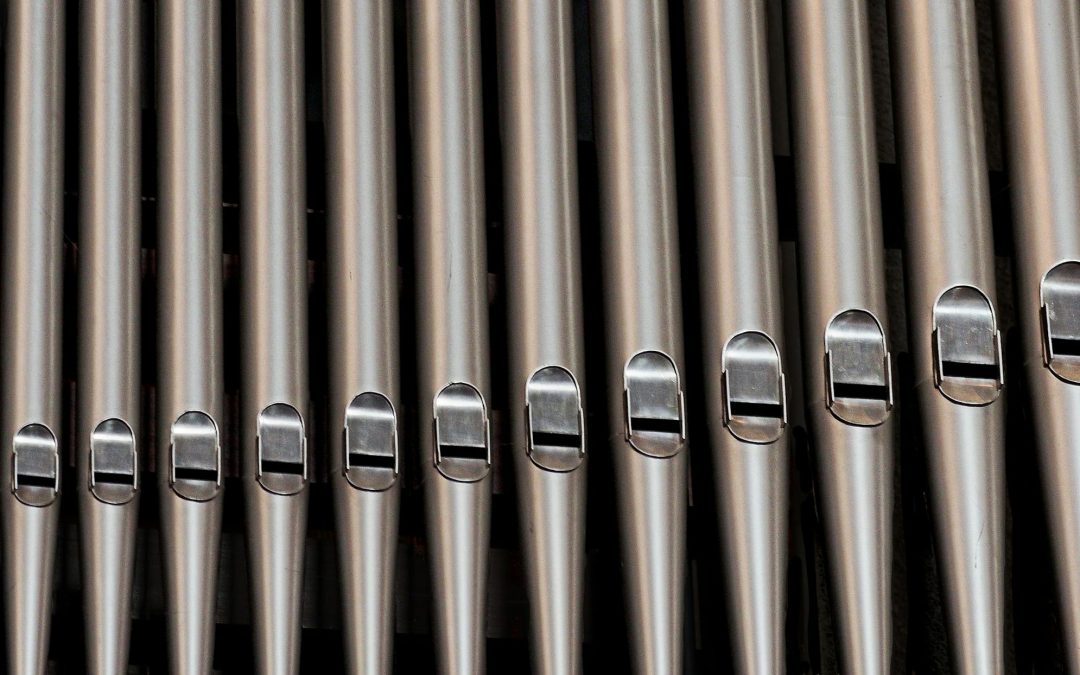 Musique au coeur de l’été – Orgue au jardin