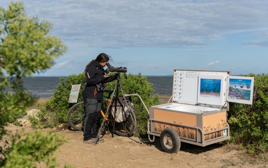 Accueil naturaliste sur le sentier du littoral à la Pointe du Teich