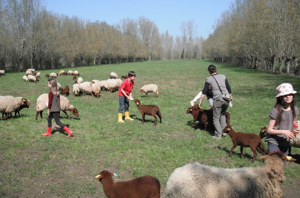 ATELIER DU PETIT FERMIER