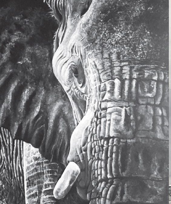 Exposition : Patricia Janneau