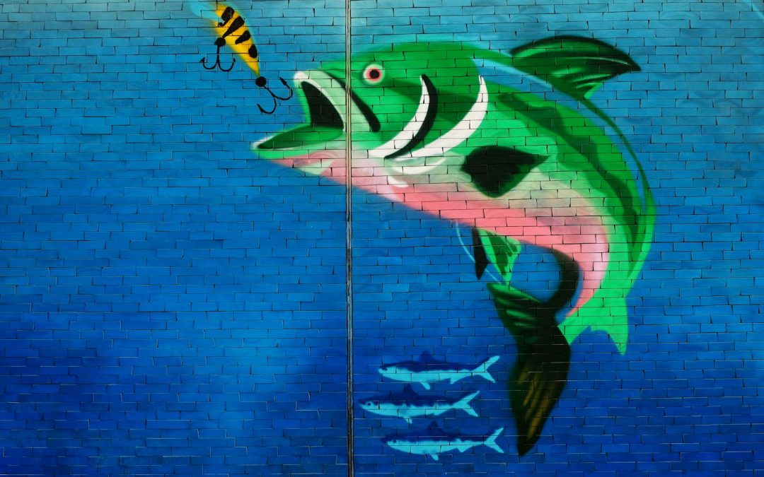 Animation pêche : je pêche mon premier poisson