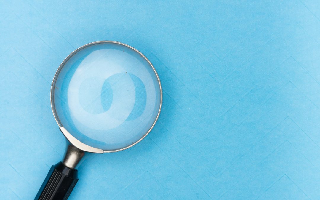 Le plancton à la loupe