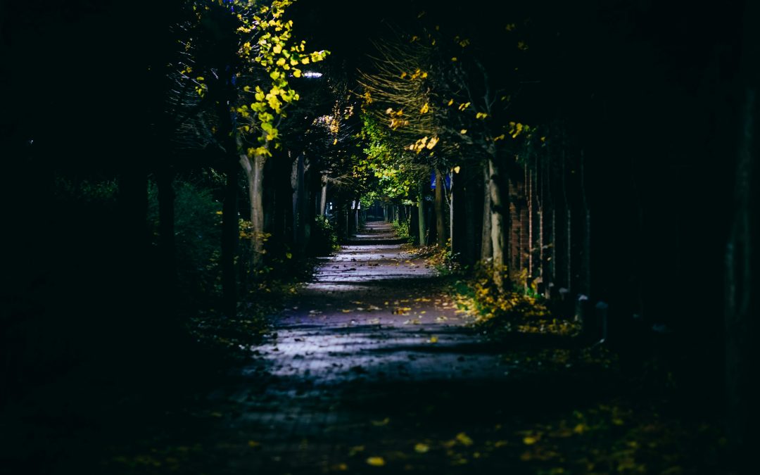 Les créatures de l’ombre, balade nocturne