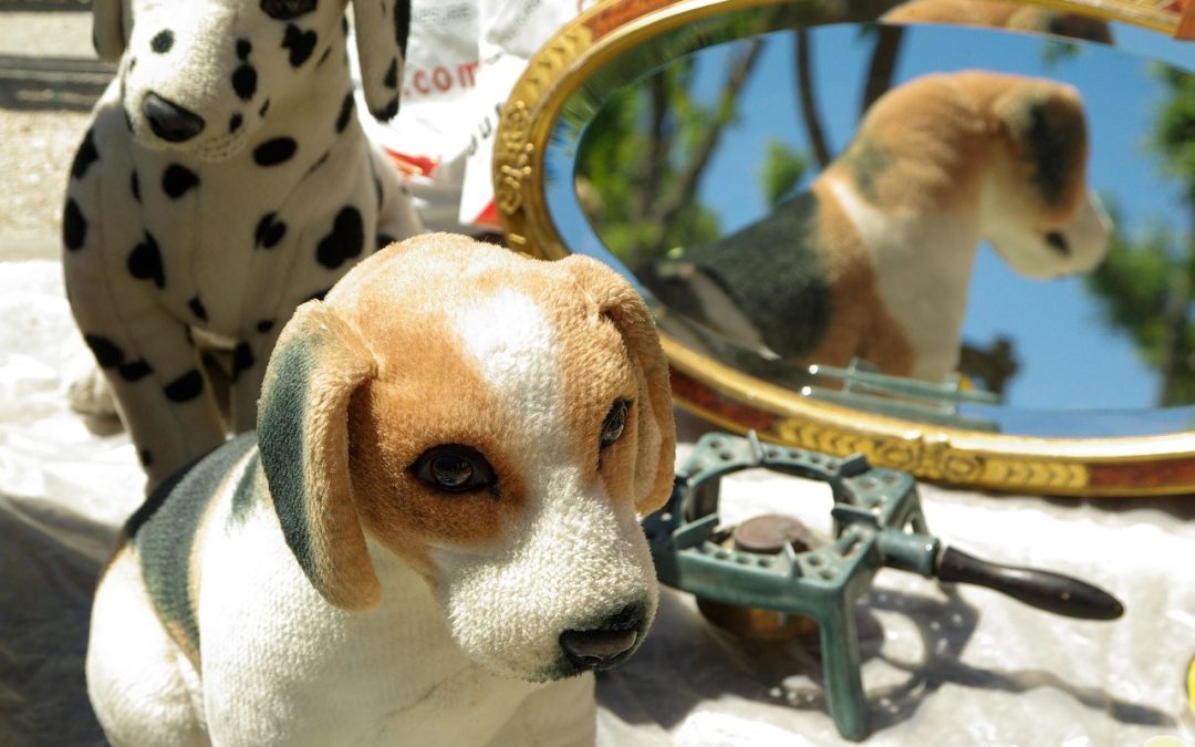 Brocante de l’Epinette