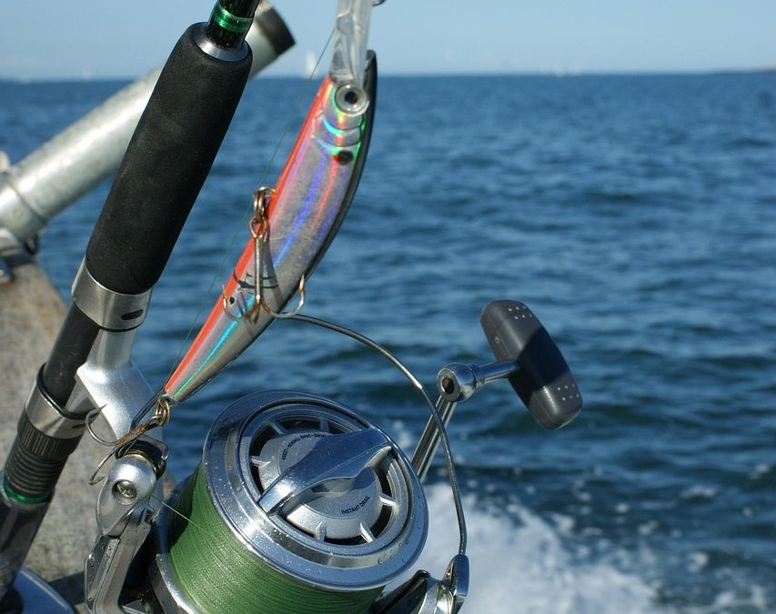Sortie pêche du mulet au lancer