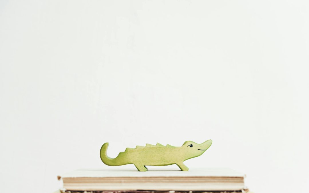 Atelier 6-12 ans : la fontaine au crocodile