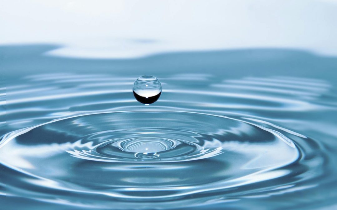 Pause Nature au fil de l’eau : balades musicales