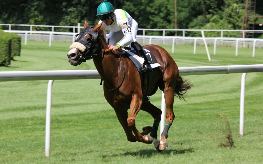 Courses hippiques