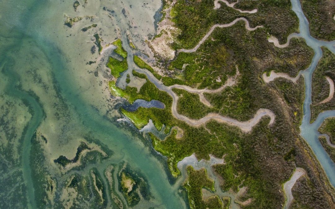 Vols Panoramiques en Hélicoptère