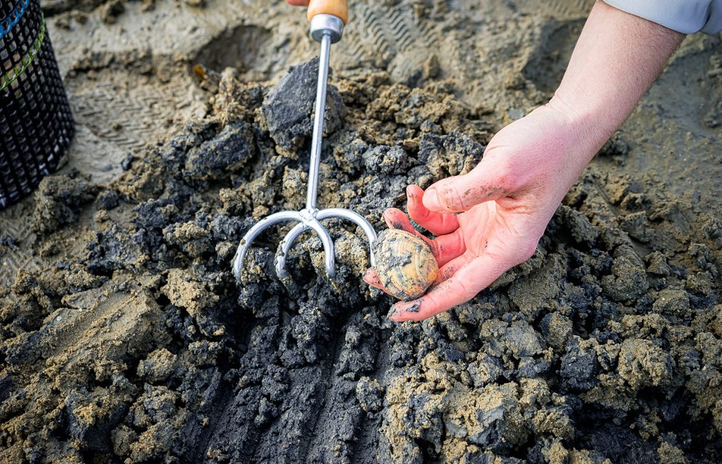 Balades Culinaires – Atelier Retour de Pêche