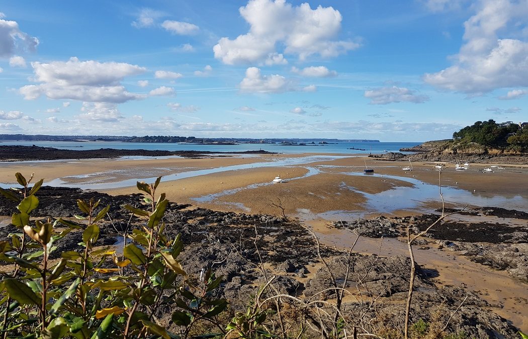 Biodiversité de l’estran