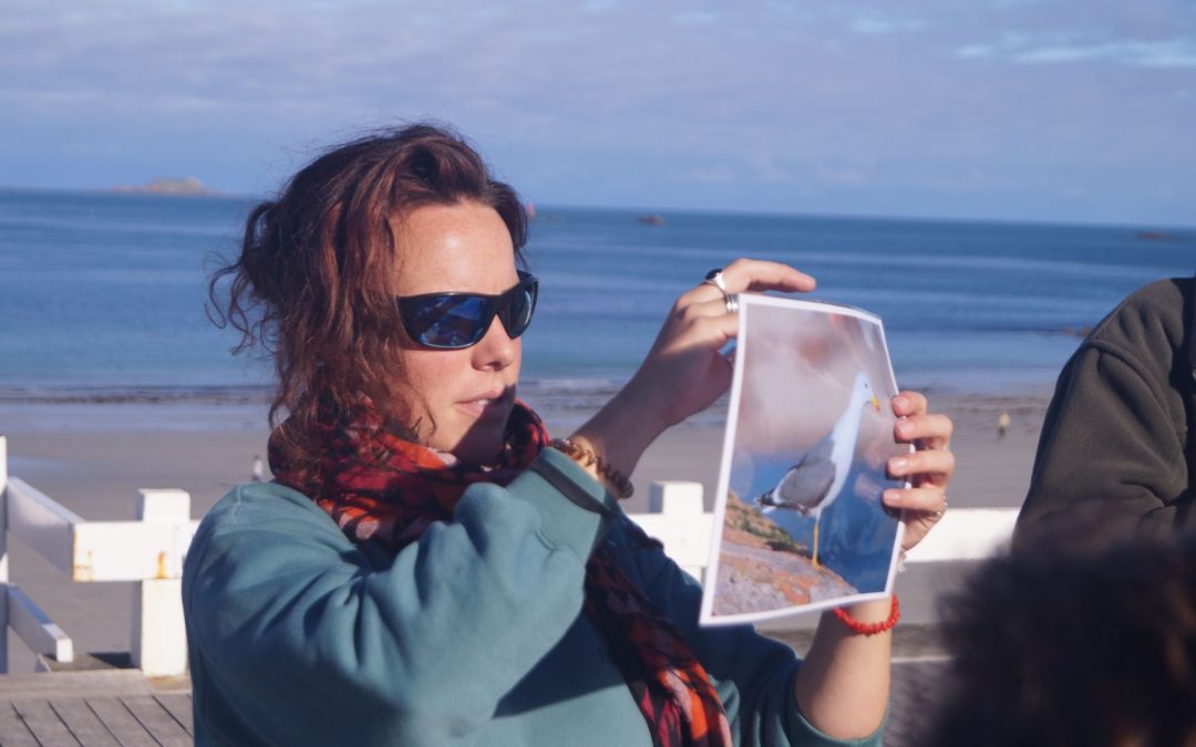 L&rsquo;oeil du Goéland sur l&rsquo;avenir