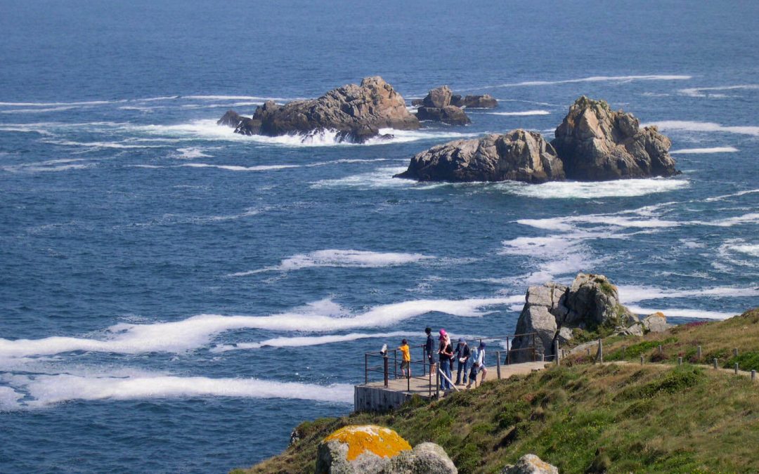 Visite guidée de la réserve du Cap Sizun