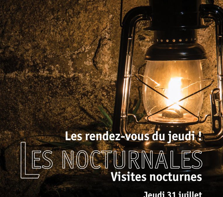 Les Nocturnales (visite guidée nocturne exclusive)