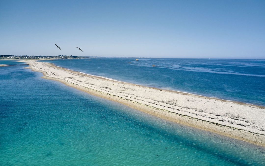 Rencontre au camion nature
