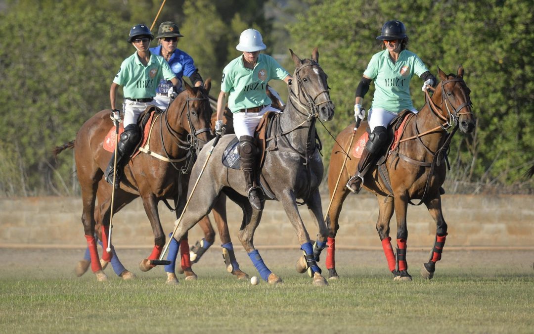 Haras de Gassin-Concours de polo