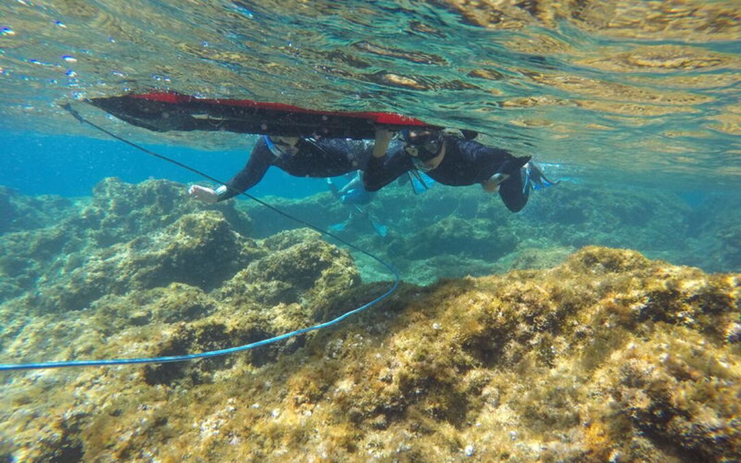 Balade aquatique dans la Calanque de Port d’Alon