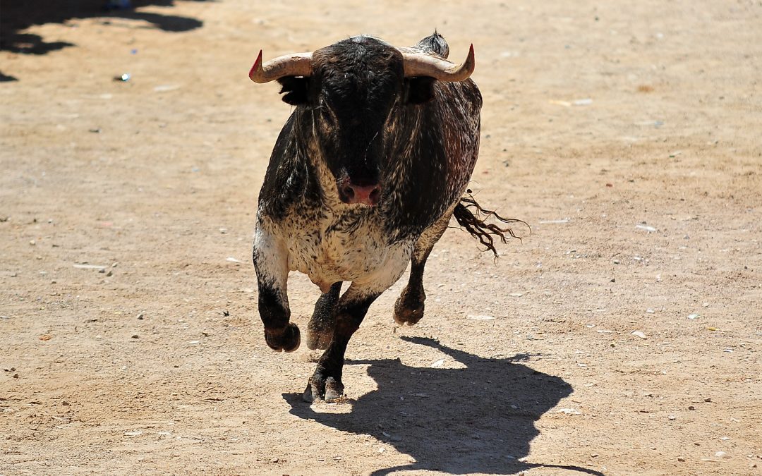 ENCIERRO