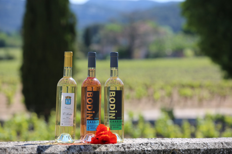 Cassis bodin visite du vignoble aoc cassis et degustation de 5 vins