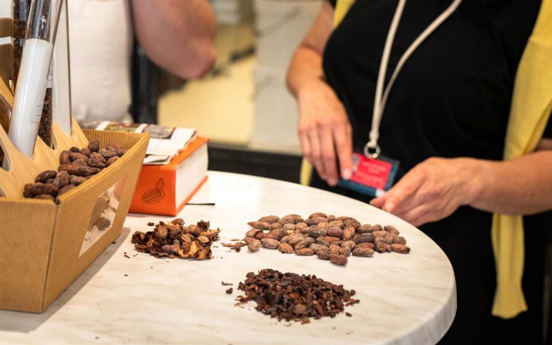 Visite guidée : Chocolat gourmand à BAYONNE