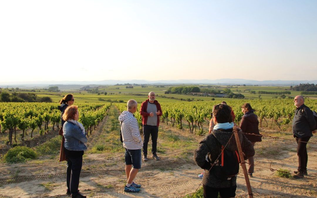 GOLDEN HOUR AU DOMAINE DE SOUSTRES