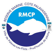 ATELIERS CRÉATIFS DE LA RÉSERVE MARINE CÔTE PALAVASIENNE