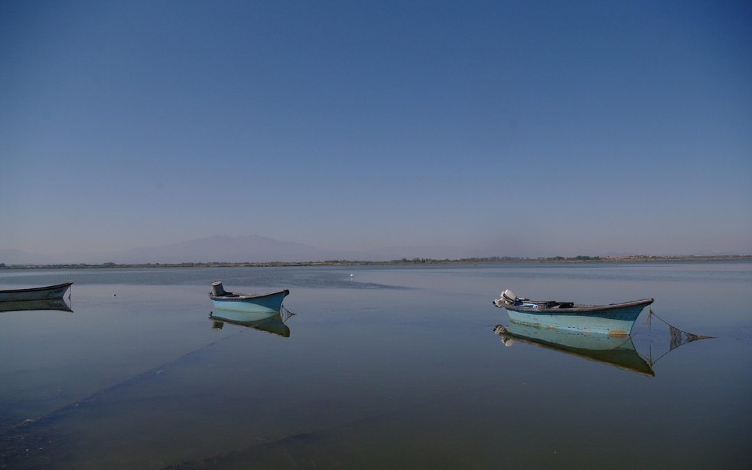 Balade nature : TOCS TOCKS bateau avec le CPIE