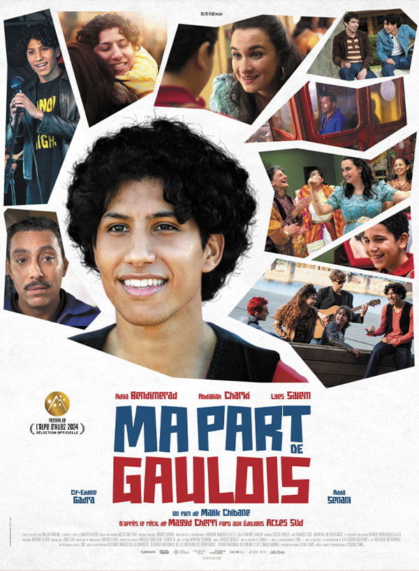 ma-part-de-gaulois-affiche