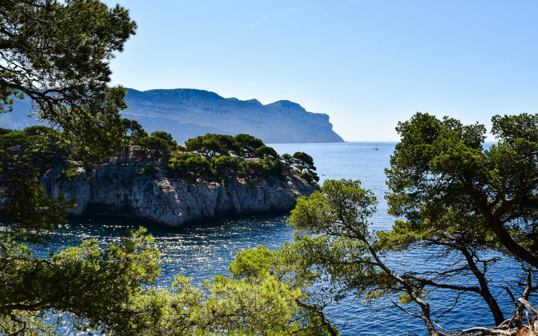 L’immanquable : balade guidée et commentée aux portes des CalanquesFrançais