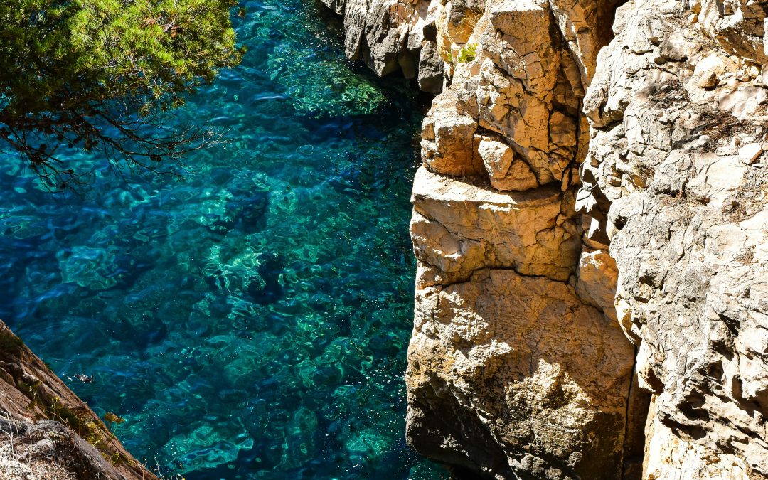L’immanquable : balade guidée et commentée aux portes des Calanques
