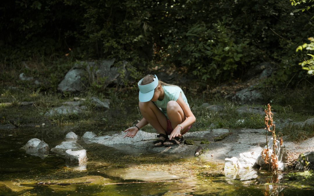 Animation nature : Le petit peuple de l’eau