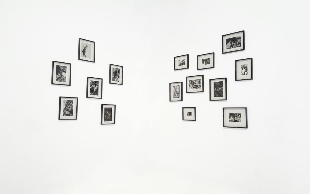 EXPOSITION FIOLETA