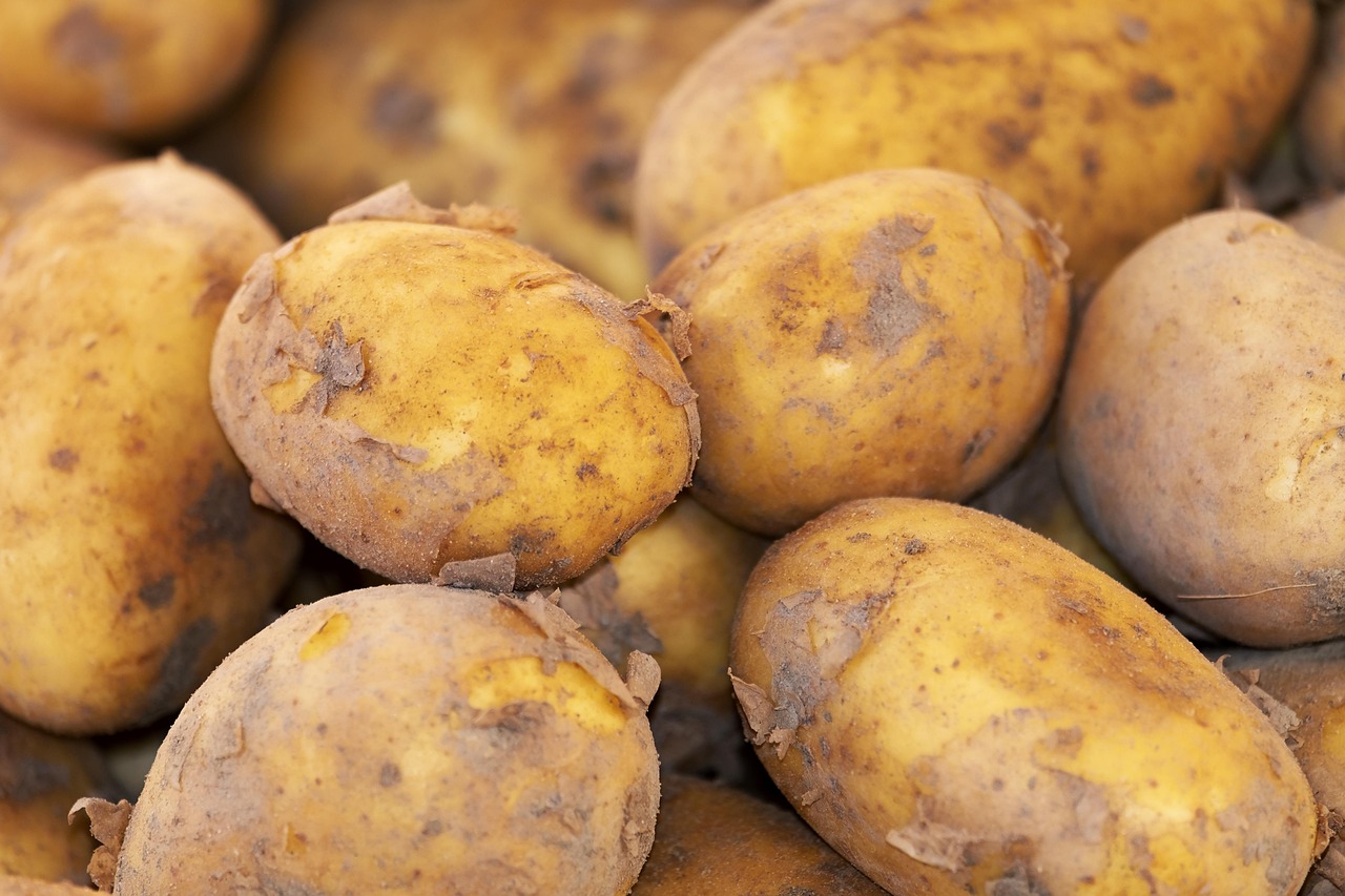 potato-3440360_1280