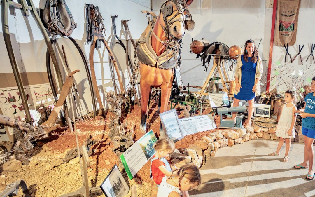 Musée des Émile Vignerons : une visite joyeuse et pleine de terroir