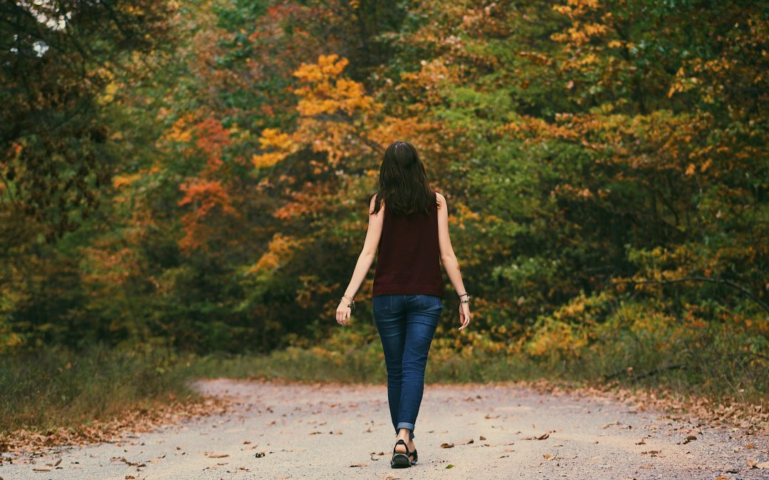 BALADES DE SAINT-HILAIRE – MATINÉE