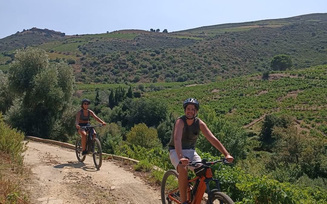 OENOTOURISME : BALADE EN VTT ÉLECTRIQUE DANS LES VIGNES DE COLLIOURE